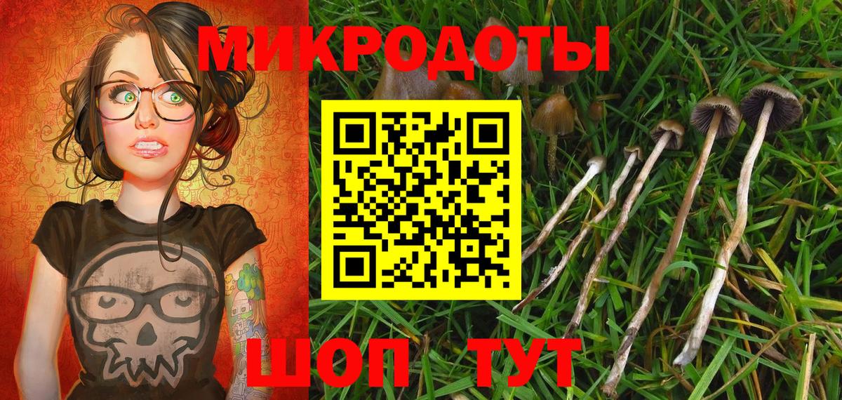 Стерлитамак  Галлюциногенные грибы прущие грибы  купить   Вход с VPN 
